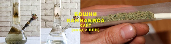 прущие грибы Новый Уренгой