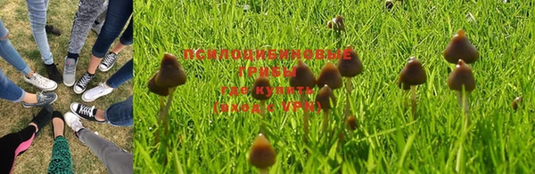 не бодяженный Переславль-Залесский