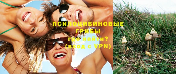 не бодяженный Переславль-Залесский