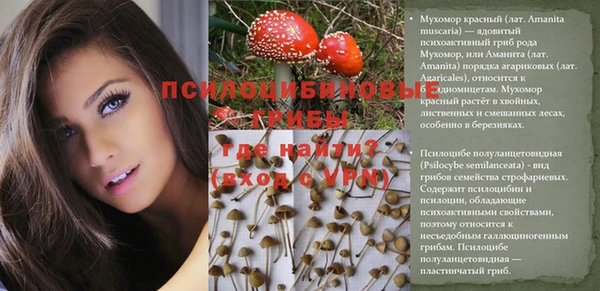 трава Осташков