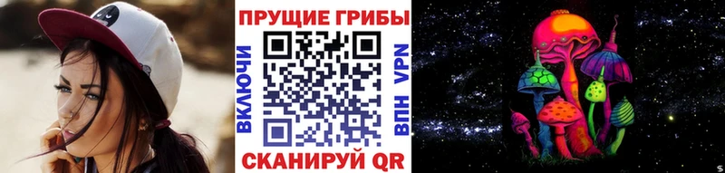 где найти наркотики Тайга Галлюциногенные грибы мухоморы
